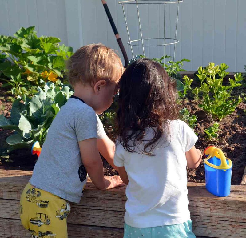 Helping with Gardening