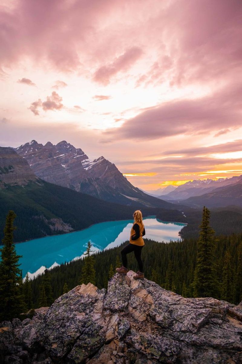 Icefields Parkway