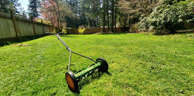 Mowing the Lawn by Hand
