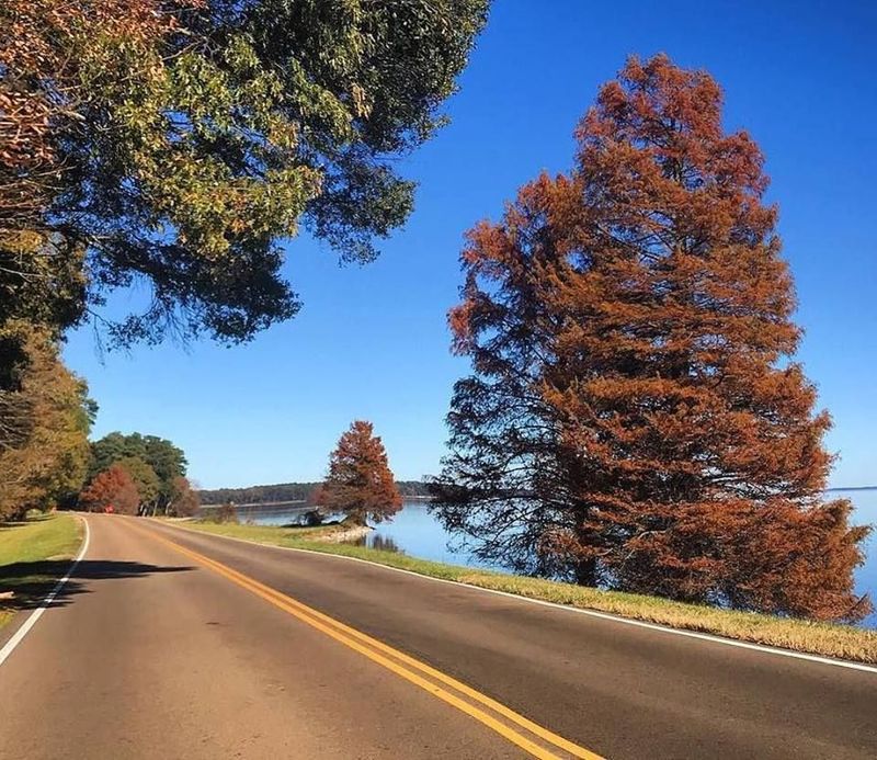 Natchez Trace Parkway