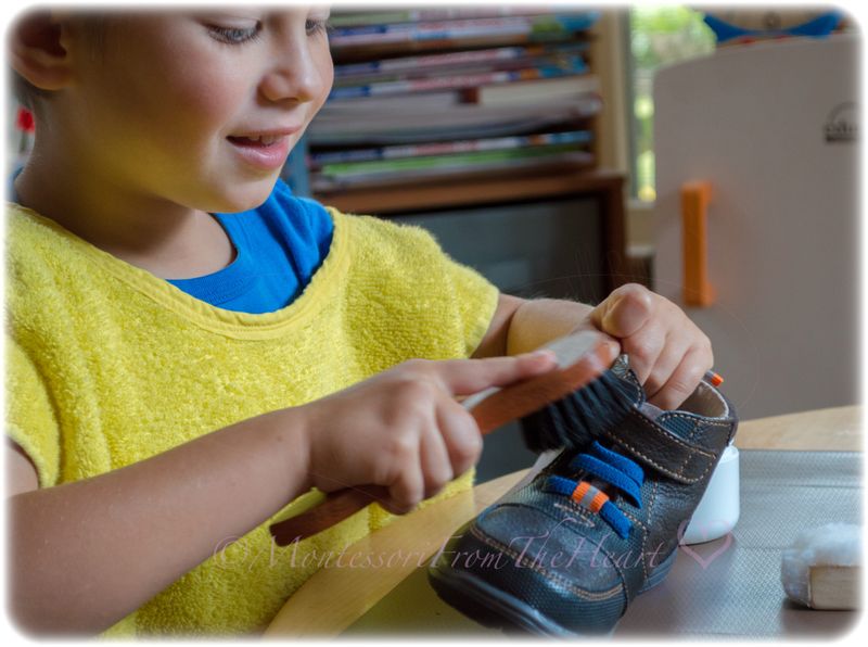 Polishing Shoes