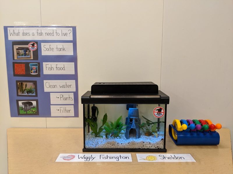Classroom Pet Projects