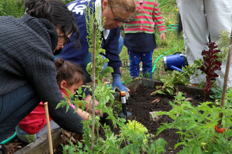 Gardening