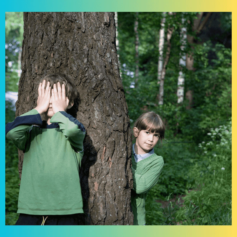 Hide and Seek