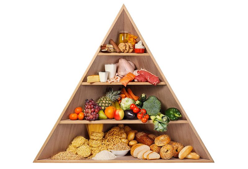 The Food Pyramid