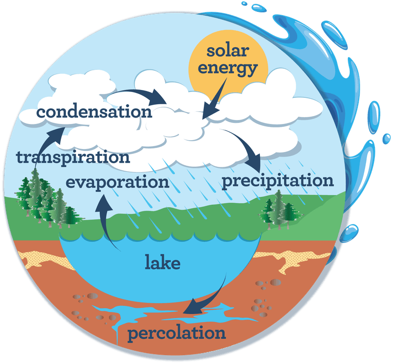 The Water Cycle