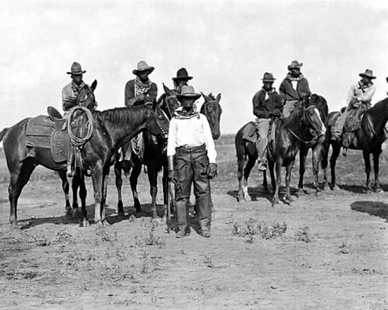 The Wild Mustangs of California