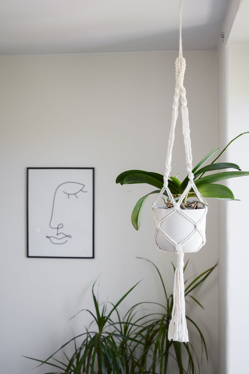 Macramé Plant Hangers