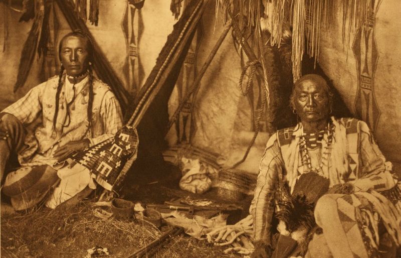 Native American Contributions to Medicine