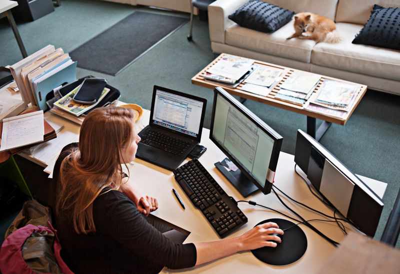 Telecommuting