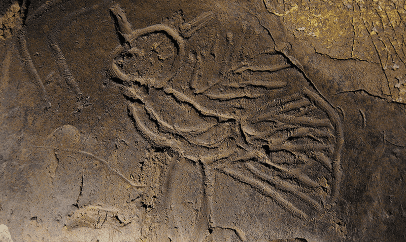 The Longest Native American Artwork