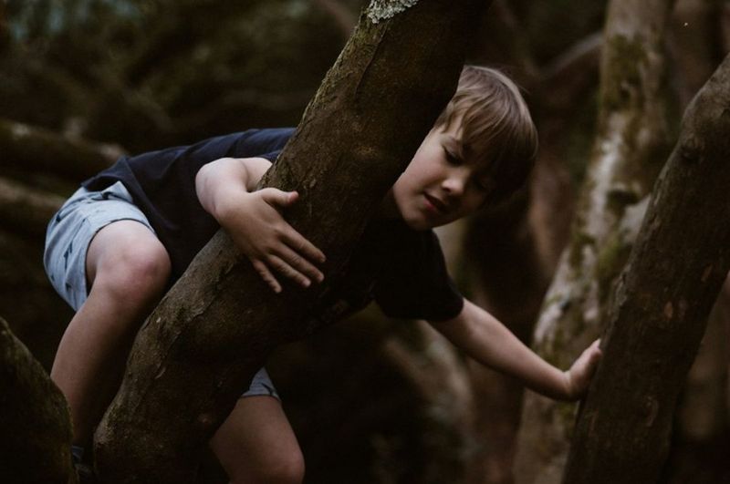 Tree Climbing