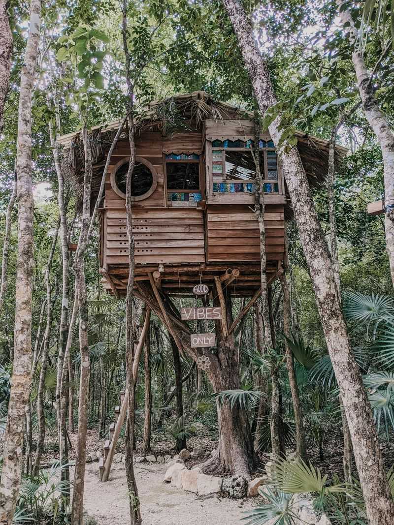 Treehouse Building