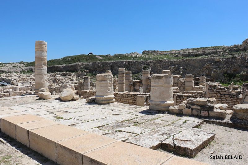 Zama, Tunisia