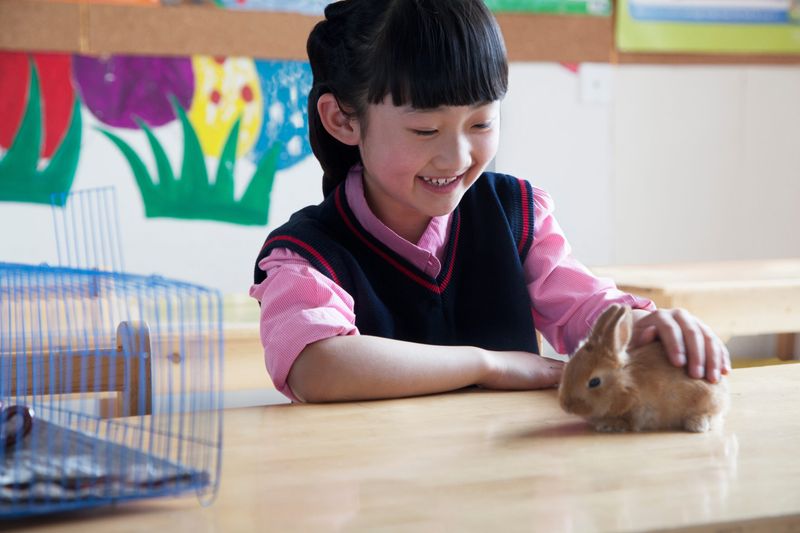 Classroom Pets