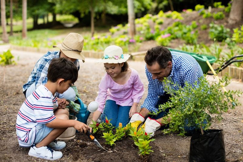 Gardening Together