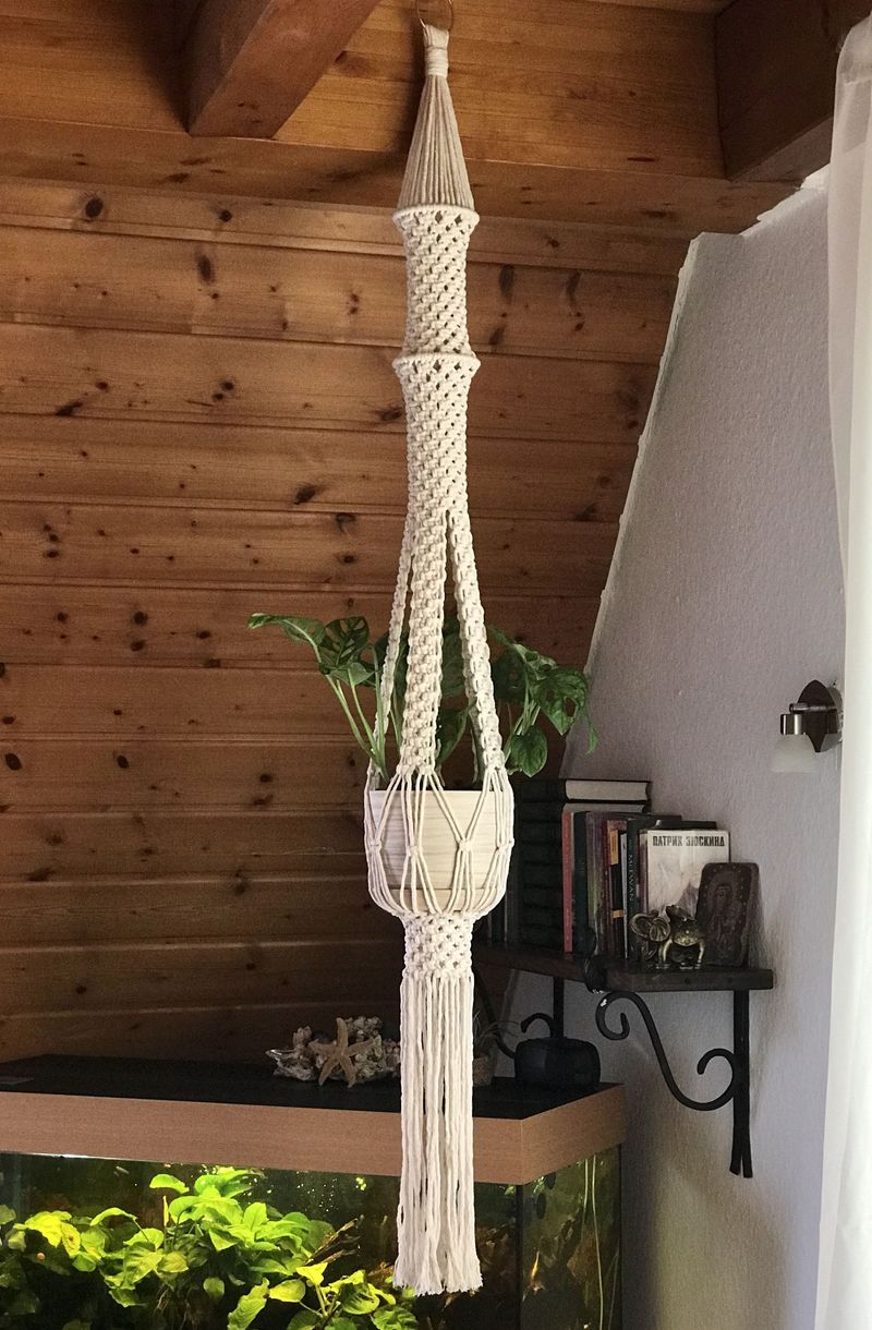 Hanging Plants