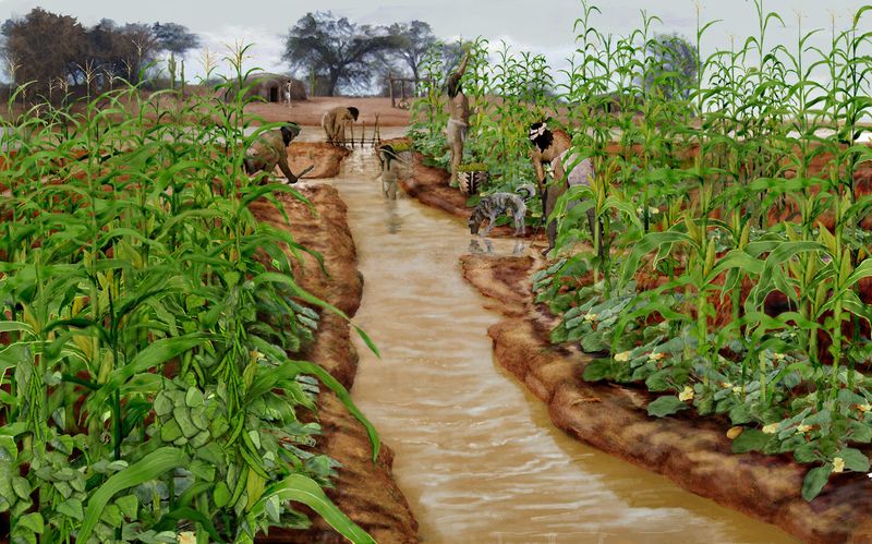 Hohokam Canals