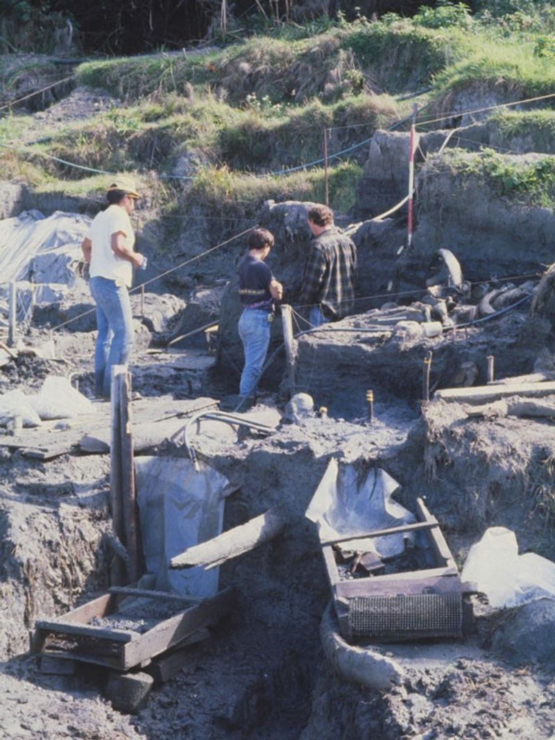 Ozette Archaeological Site