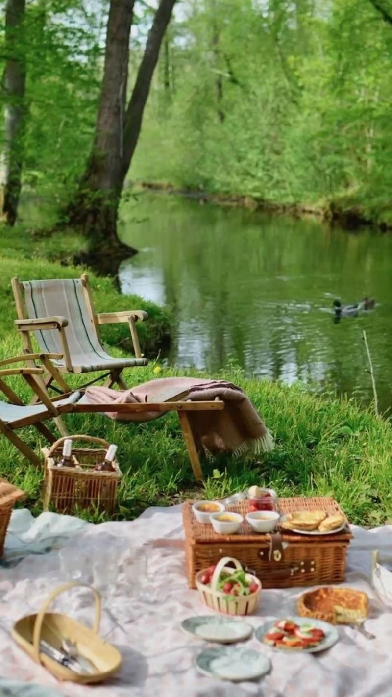 Picnics in Nature