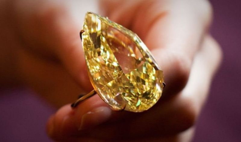The Lost Treasure of the Florentine Diamond