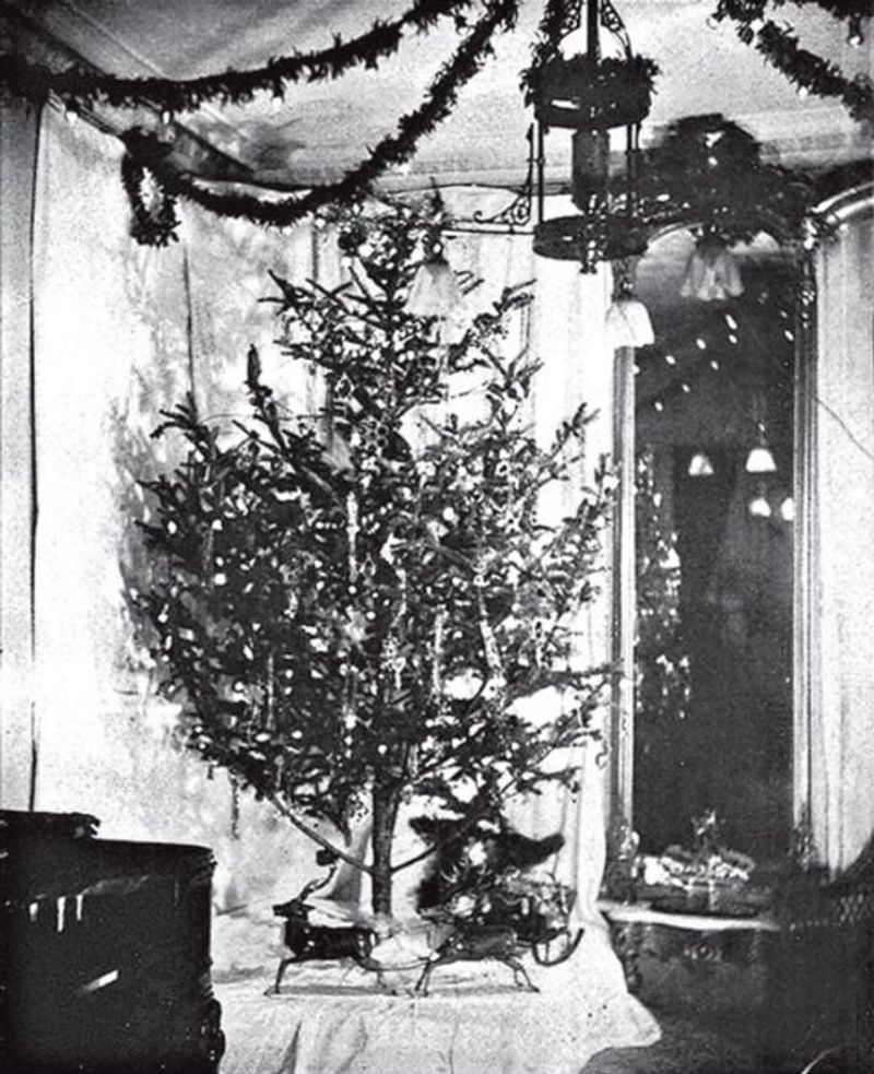 The White House's First Electric Christmas Tree